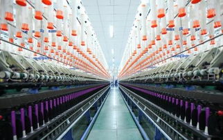 冀魯豫紡織企業(yè)訂單困境與勞動保護(hù)用品市場轉(zhuǎn)型路徑